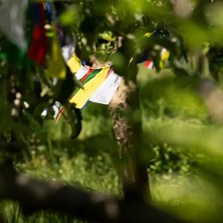 Vinonima Hill Vendeghaz Apartmán